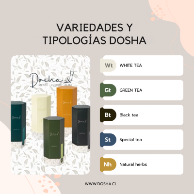 VARIEDADES Y TIPOLOGÍAS DOSHA